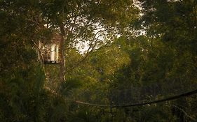 Treehouse Lodge Iquitos