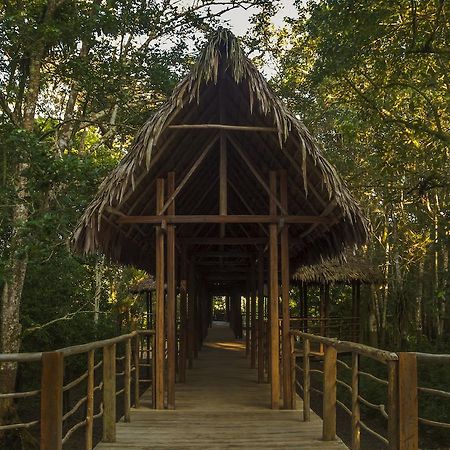 Treehouse Lodge Yucuruche Exterior photo