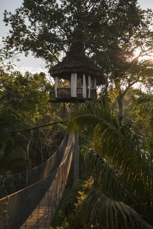 Treehouse Lodge Yucuruche Exterior photo