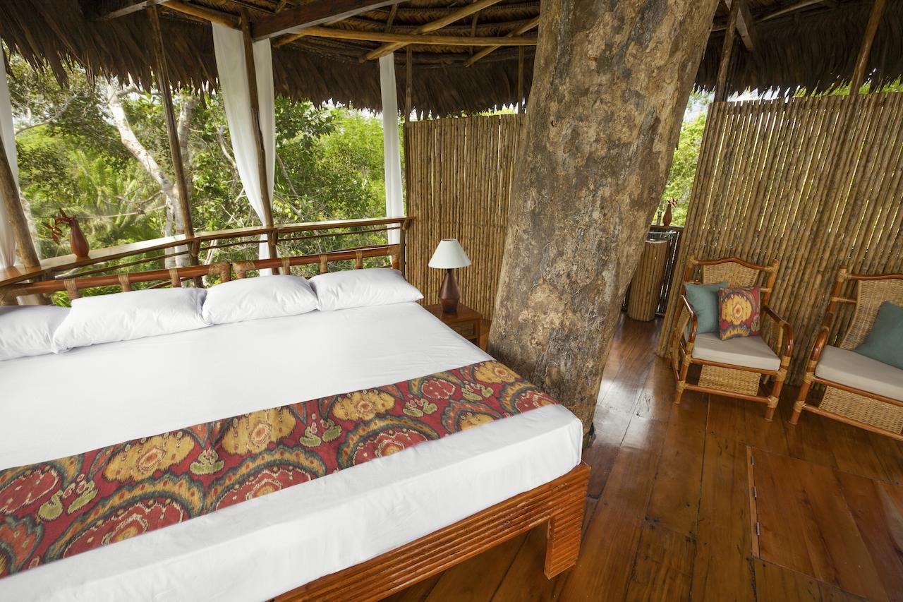 Treehouse Lodge Yucuruche Room photo