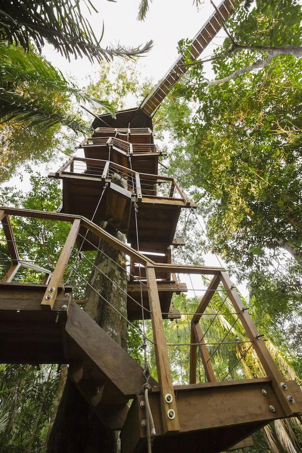 Treehouse Lodge Yucuruche Room photo