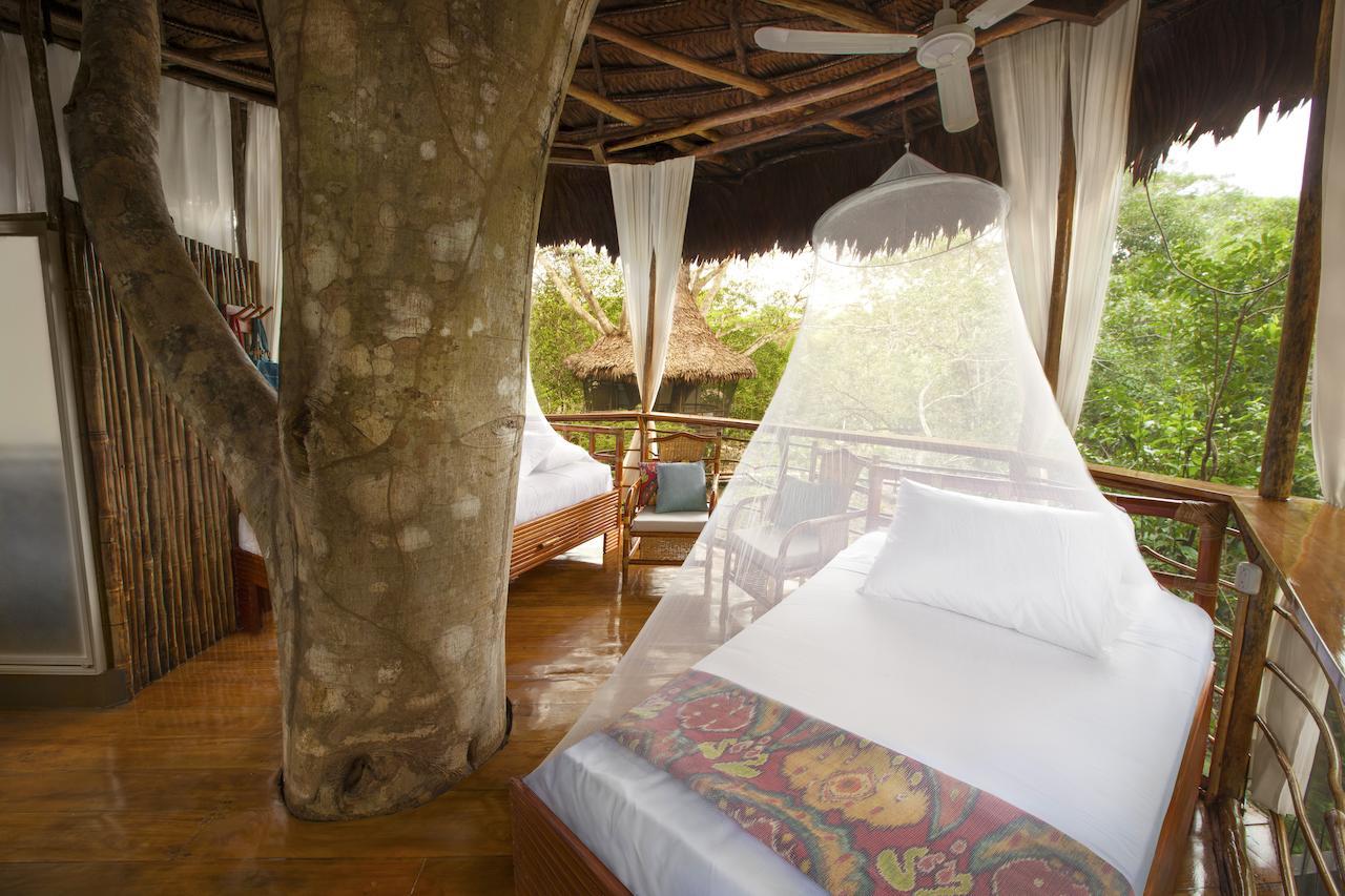 Treehouse Lodge Yucuruche Room photo