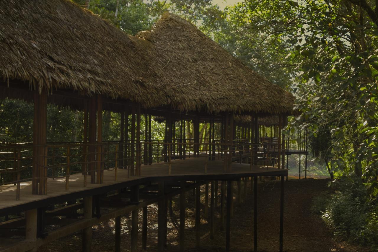 Treehouse Lodge Yucuruche Exterior photo