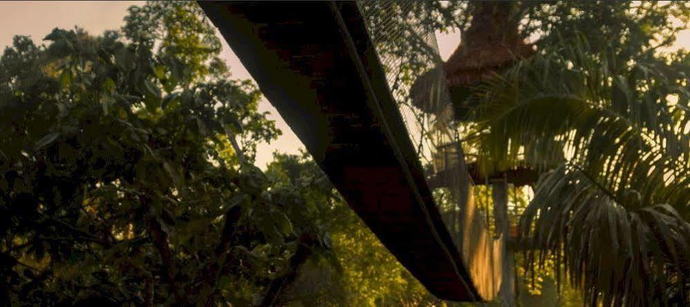 Treehouse Lodge Yucuruche Exterior photo